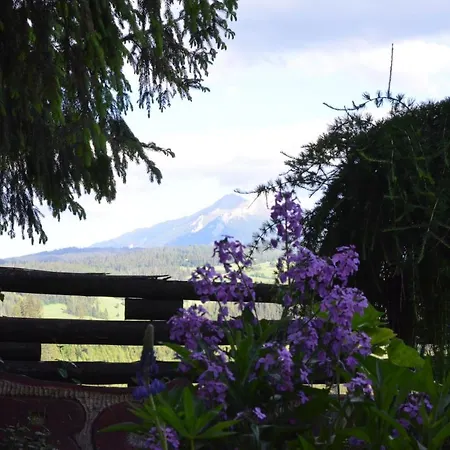 Sleboda Wynajem Pokoi Ewa Satola ビャウィ・ドゥナイェツ