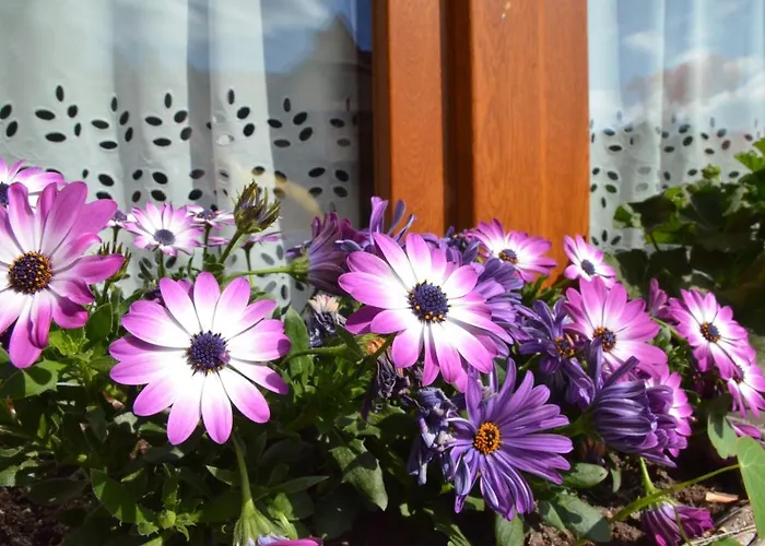 Gasthuis Sleboda Wynajem Pokoi Ewa Satola